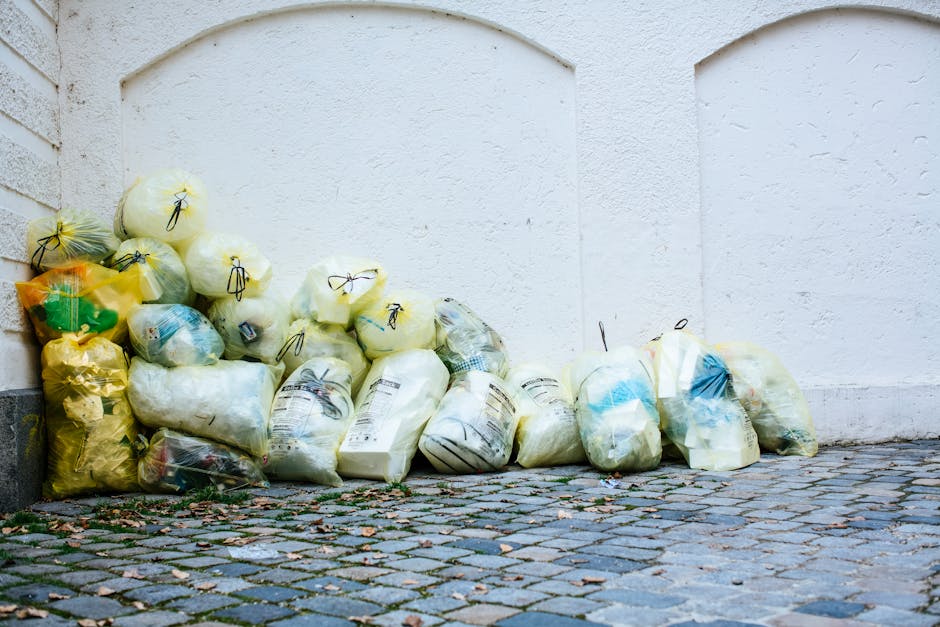 Same day rubbish collection delays common problems in Fulham